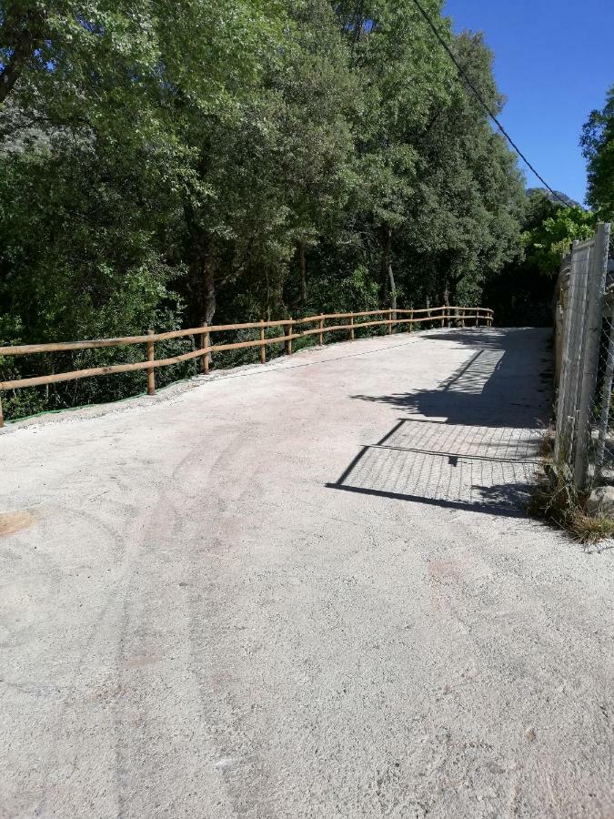 Alojamientos Rurales Vado Ancho La Encina Arroyo Frio Luaran gambar